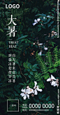 大暑微信推广图
