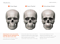 Visual Reference of the Human Skull (Free E-book)