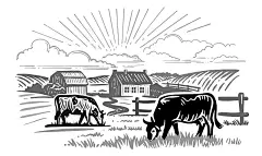 奶牛在后台农场吃草图片下载