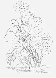 手绘荷花儿线条儿图标高清素材 手绘睡莲 手绘莲花儿 睡莲 线稿睡莲 线稿荷花 荷花 荷花儿 免抠png 设计图片 免费下载