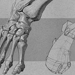 Anatom'Inktober day 17 : Foot bones in motion 3