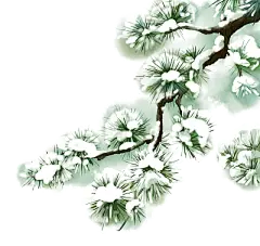 松叶元素图片设计素材