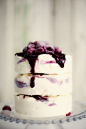树莓柠檬冰淇淋蛋糕