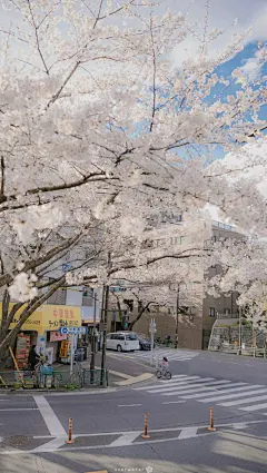 【图片】那我就开一个日本街景的壁纸楼吧【手机壁纸吧】_百度贴吧