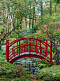 园林,日本,红色,秋天,桥,平衡折角灯,景观设计,公园,池塘,自然美