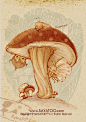其中包括图片：SAYATOO涂鸦系列《Q桃和蘑菇》12p_SAYATOO傻丫头_新浪博客