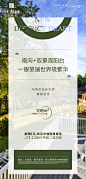 户型 (31)