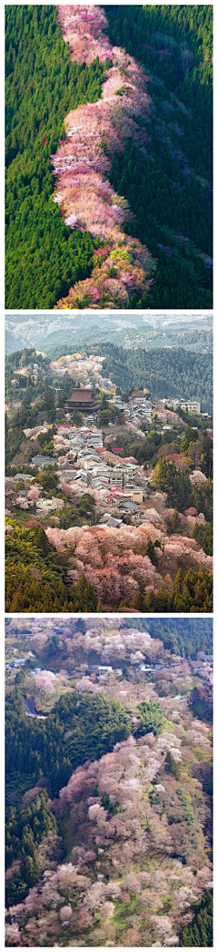 逍遥摘星捧月采集到风景