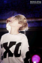 『baekyhun』140504|图图|集结白白各种的图图_卞白贤吧_百度贴吧