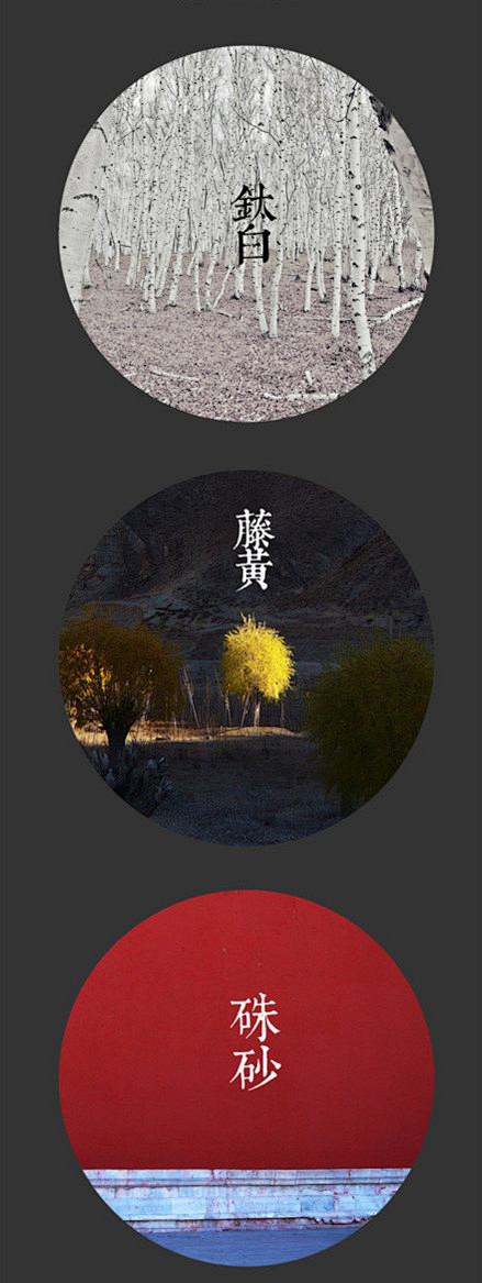 茶 缸