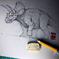玩转动物结构，灵魂画手来教你！_作品 : 那种每根线条都卡得恰到好处，且生动流畅的线描动物结构，深深打动了我，作品透视感强，超适合小白入手，于是美术君不得不扒出关于作者的更多作品。 画家在作画过程中，对动物的头部、脖子、身体都非常考究造型跟…