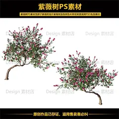 紫薇树PS素材歪脖子紫薇树造型紫薇树开花小乔景观树PSD免抠素材-淘宝网