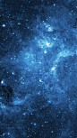 e2431db4171705a6129d88a4b27cd56a