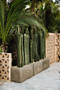 This Organic Chic Acre Baja Wedding Showcases Some Seriously Unique Bride and Groom Style | Junebug Weddings : This Cabo wedding at Acre Baja is for the foodies and the fashionistas! Alexandra and Steven took wedding day style to a whole new level with th