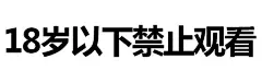 污表情包/纯文字+图片（大约200张）