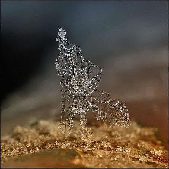 雪花微距摄影