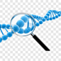 生物基因检测装饰图案PNG图片➤来自 PNG搜索网 pngss.com 免费免扣png素材下载！