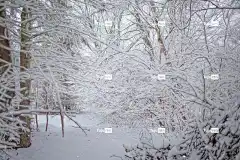 冬天 全高清壁纸 Mac壁纸 雪 美丽的壁纸 自由背景