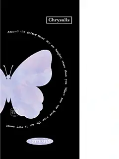 364期|手机壁纸|黑底梦幻紫蝴蝶