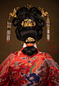 其中包括图片：[Hanfu・漢服]Chinese Ming Dynasty Traditional Clothing Hanfu