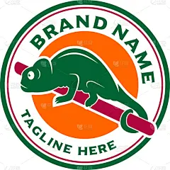 动物,品牌名称,变色龙,式样,活力,可爱的,几何形状,野生动物,现代,蜥蜴