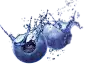 710c87cea9db766b19901282211cb0b1