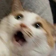 分享一组模糊表情包 ​​​​