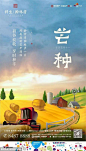 节气海报【芒种】