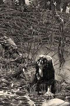 插画大师 Bernie Wrightson ​奔腾的线条 ​​​​
