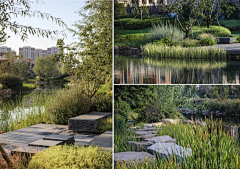 圆境景观设计采集到滨水 &湿地