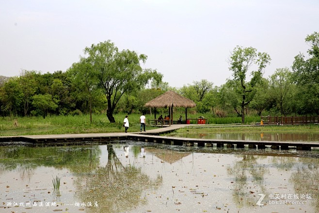 杭州西溪湿地-----烟水渔庄-中关村在...