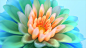 Vivo Live-Wallpapers on Behance
