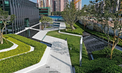 逗夫脑采集到中心景观