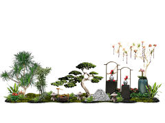 凉笙凉笙采集到绿植背景