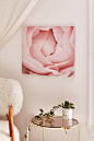 Happee Monkee For Deny Versailles Rose Canvas Wall Art : Shop Happee Monkee For Deny Versailles Rose Canvas Wall Art at Urban Outfitters today. We carry all the latest styles, colors and brands for you to choose from right here.