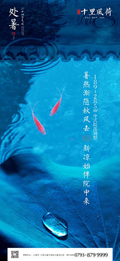 不二情书666采集到二十四节气--处暑