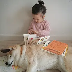 生个萝莉，然后再养只汪 #萌##壁纸# #哈士奇# #泰迪##宠物##萌娃#