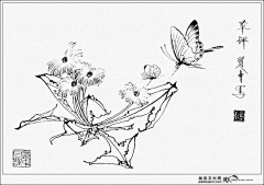 江南和采集到工笔画草