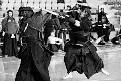 wgkendo采集到kendo