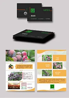 珍珠李宣传设计
-设计师【小黎】-设计师主页【http://www.youtuyouyin.com/designerzone/index/2300】-优图优印网站【http://www.youtuyouyin.com/】#色彩# #素材# #排版# #经典# #名片#