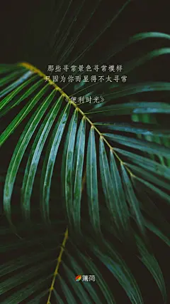 #每日壁纸#【20170519】那些寻常景色寻常模样 ，只因为你而显得不太寻常 。——好妹妹 《便利时光》 ​​​​