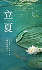 立夏-源文件分享-ywjfx.cn