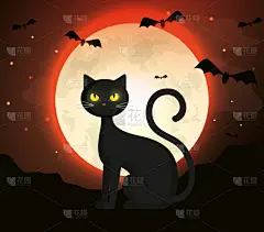 猫,蝙蝠,秘密,可爱的,暗色,猫科动物,动物,尾巴,绘画插图
