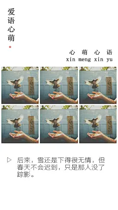 后来，雪还是下得很无情，但春天不会迟到，只是那人没了踪影。——刘国健。心萌心语的照片 - 微相册#心萌心语#爱语心萌原创文字图片。文字控、美文美图、小清新美图、唯美文字、文字图片、壁纸、短句、原创、语录、物语。微博：@爱语心萌。公众号：爱语心萌。头条号：爱语心萌。#文字# #语录# #物语# #心情#