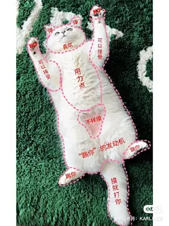 采集图片