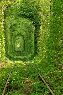 【乌克兰的Kleven的Tunnel of Love】无数人感叹，这大概是这个星球最漂亮的一条火车道了，它绿得让人窒息……位于乌克兰的Kleven，当地人称呼这条道为“爱的隧道”（Tunnel of Love）这条美丽的铁路是由枝蔓围成的。拱形隧道春意盎然，满眼皆绿；春秋季节，树叶茂盛，生机勃勃；夏日酷暑，浓荫遮盖，清凉气爽；寒冬腊月，阳光透过空隙，洒下一片温暖的阳光；四季通过隧道，体验森林氧吧，生活乐趣倍增，享受绿色悠闲之旅。