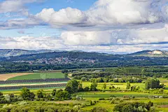 葡萄牙的绿色农田