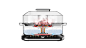 Automatic Lid Electric Steamer
