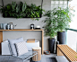 Plant Shelf Home Design Ideas, Pictures, Remodel and Decor