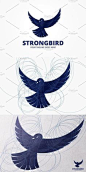 Bird Professional Golden Ratio Logo 